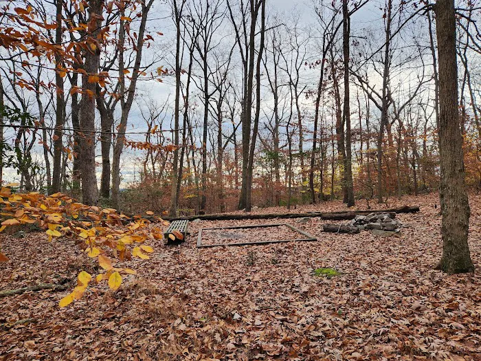 Crampton Gap Campsite 9