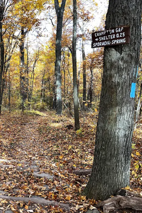 Crampton Gap Campsite 8