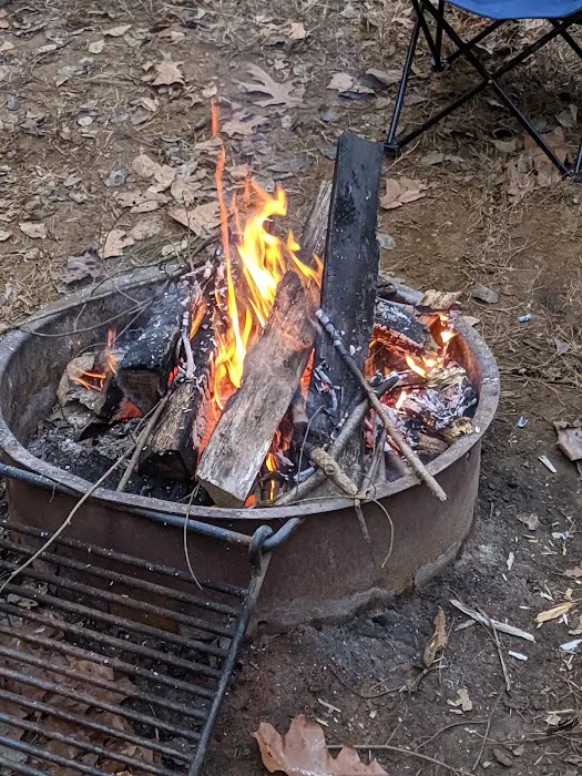 Rohrbach Group Campground 4