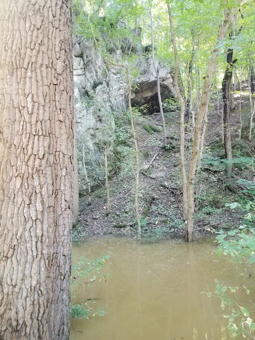 Killiansburg Cave Campsite 7