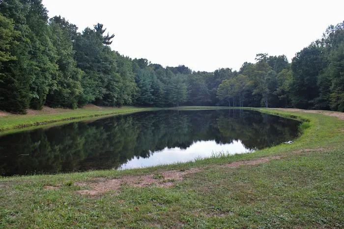 Hidden Springs Campground 6