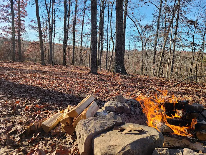 Campsite 38 2