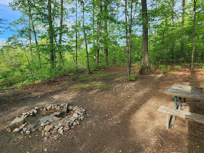 Campsite 38 1