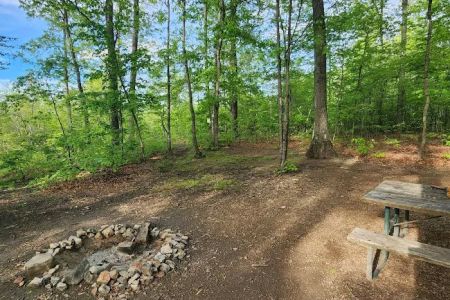 Campsite 38