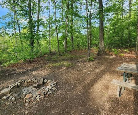 Campsite 38