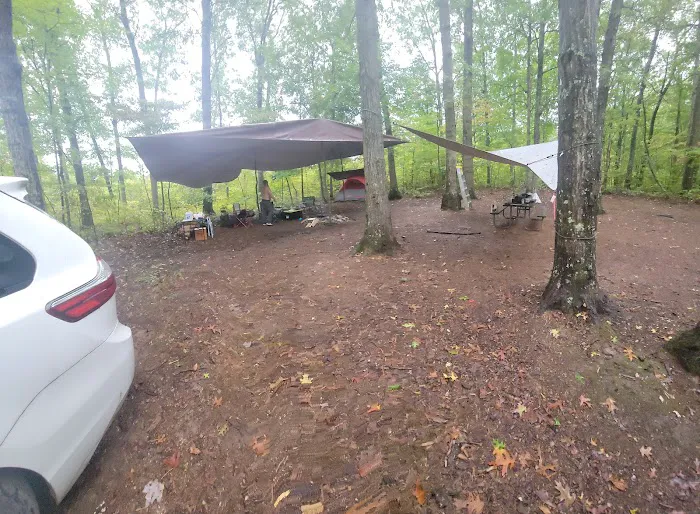 Campsite 38 8