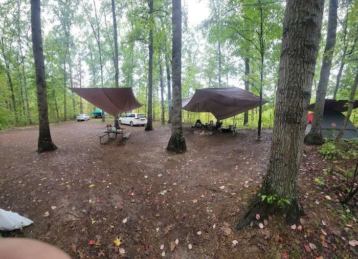 Campsite 38 7