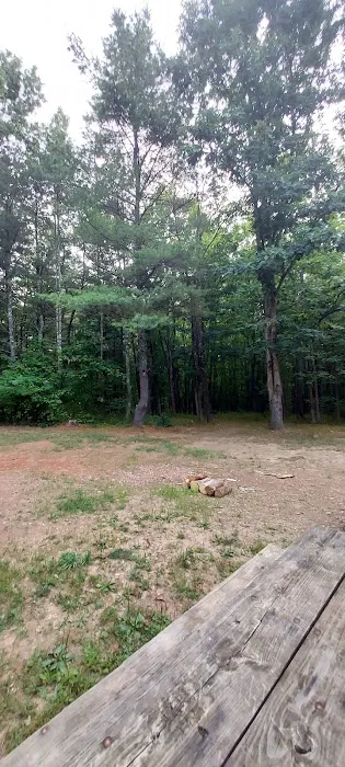 Green Ridge State Forest Campsite 23 3