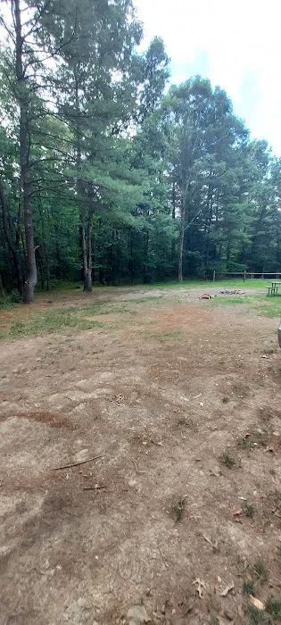 Green Ridge State Forest Campsite 23 1
