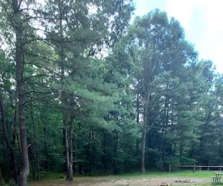 Green Ridge State Forest Campsite 23