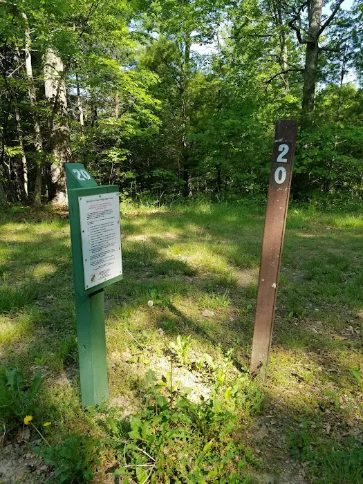 Green Ridge State Forest Campsite 20 1