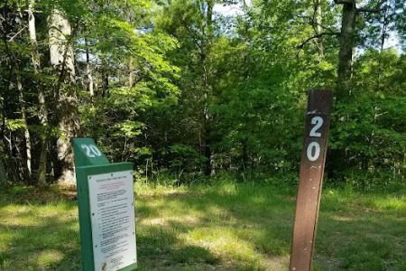 Green Ridge State Forest Campsite 20