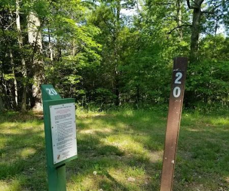 Green Ridge State Forest Campsite 20