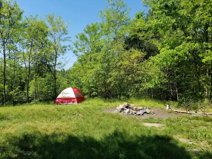 Green Ridge State Forest Campsite 20 3