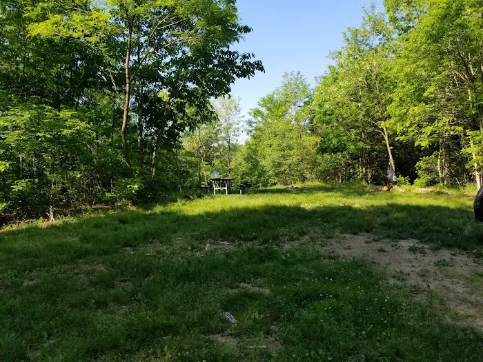 Green Ridge State Forest Campsite 20 2