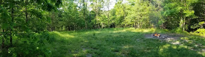 Green Ridge State Forest Campsite 20 4