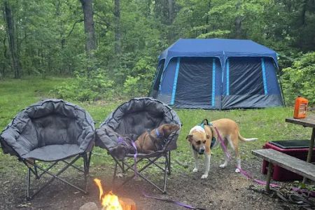Campsite 28