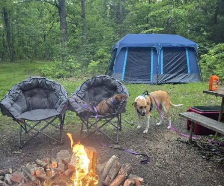 Campsite 28