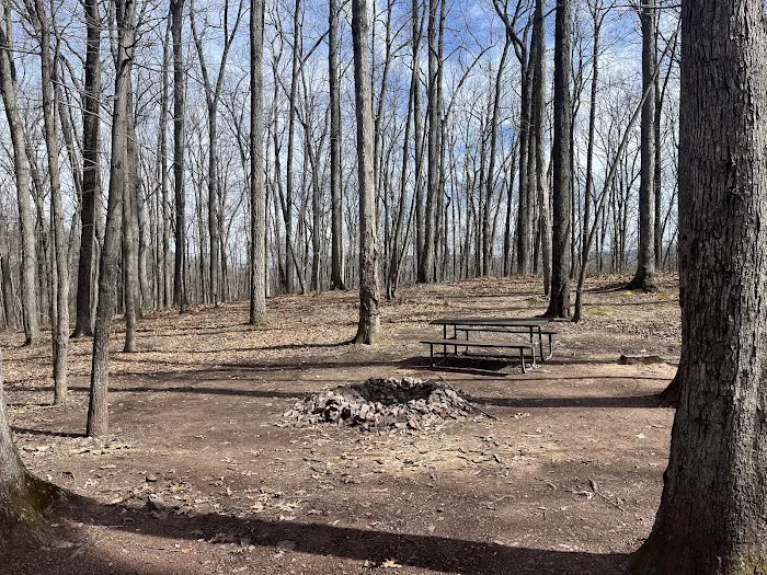 Campsite 72 3