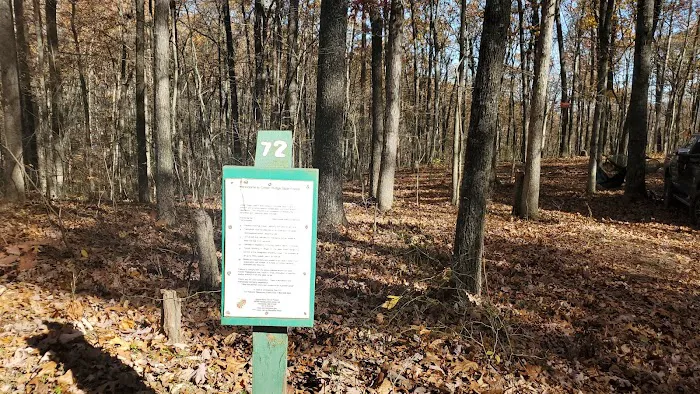 Campsite 72 5