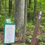 Group Campsite G-3
