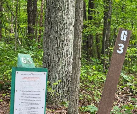 Group Campsite G-3