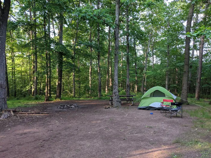 Campsite 74 1