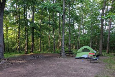 Campsite 74