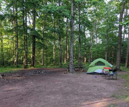 Campsite 74