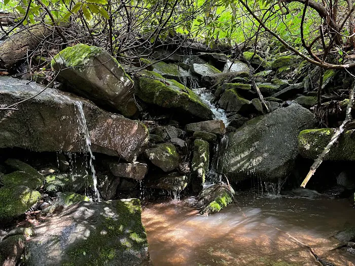 Wander Ridge 8