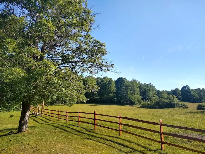 Hideaway Campground 7