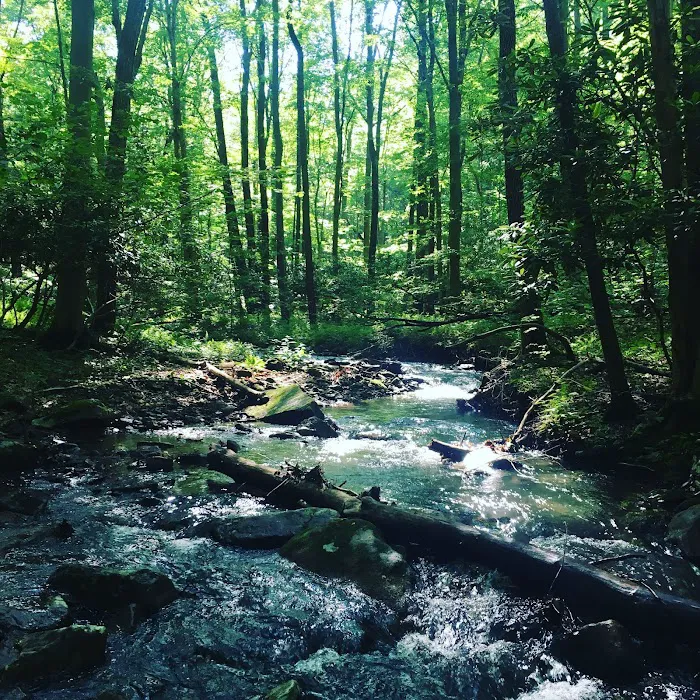 Hideaway Campground 9