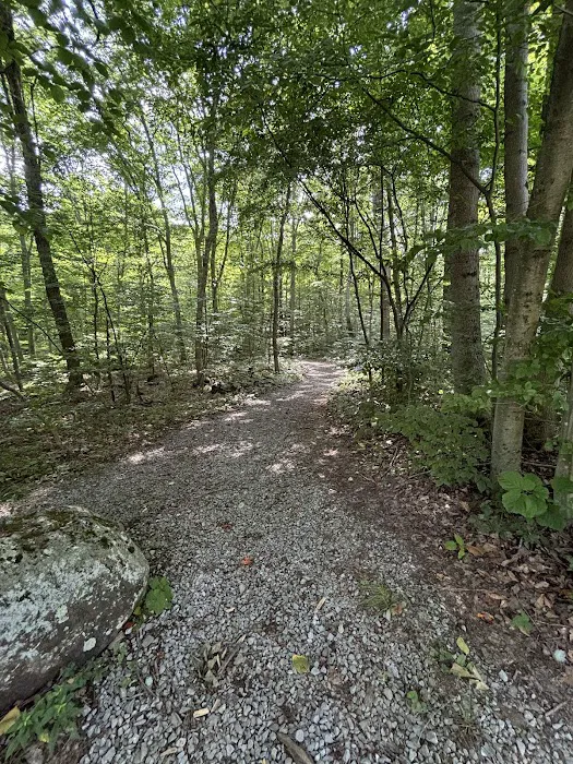 Hideaway Campground 8