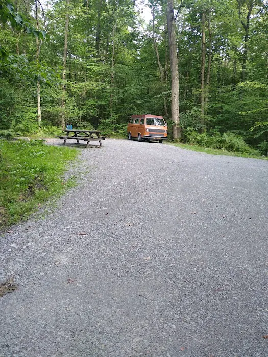 Forbes State Forest Motorized Site 2 3