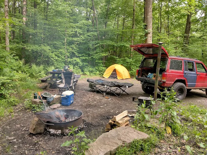 Forbes State Forest Motorized Site 2 2