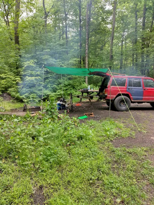 Forbes State Forest Motorized Site 2 6