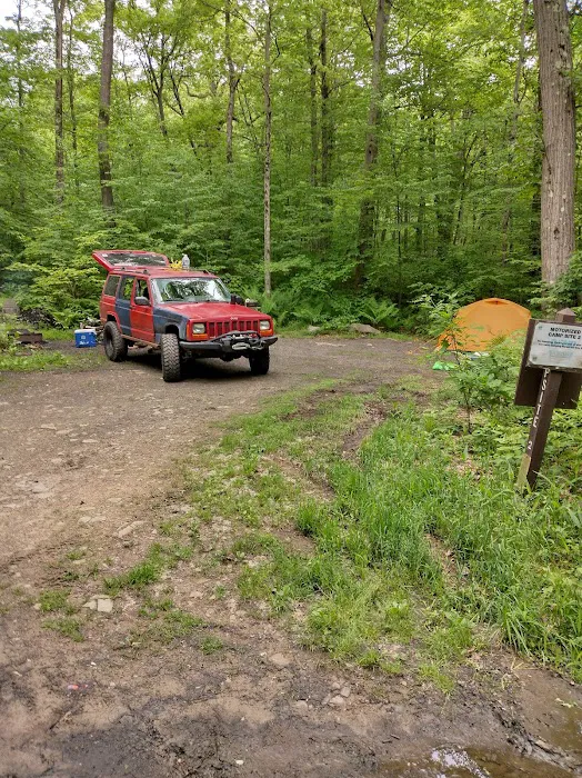 Forbes State Forest Motorized Site 2 5
