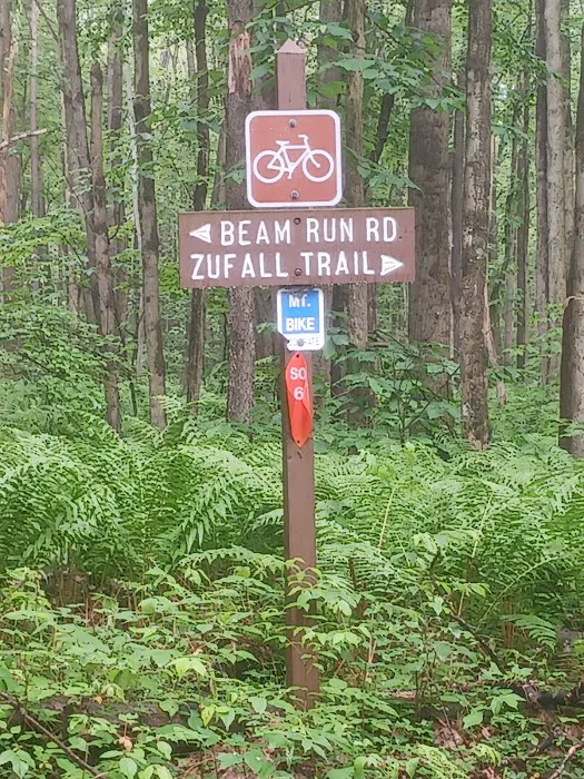 Forbes State Forest Motorized Site 2 8