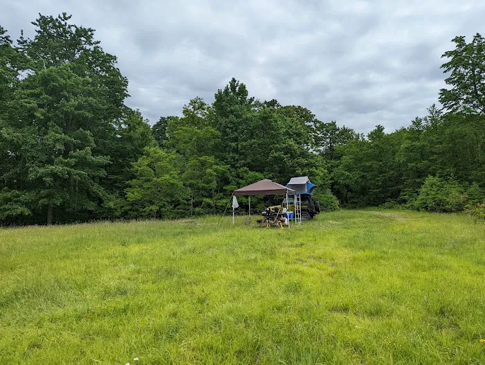 Forbes State Forest Motorized Camping #1 1