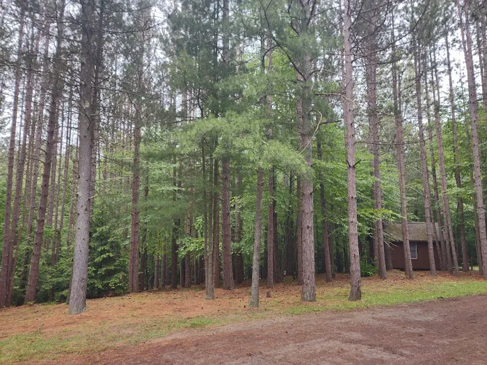 Boyers Pond Campground 3
