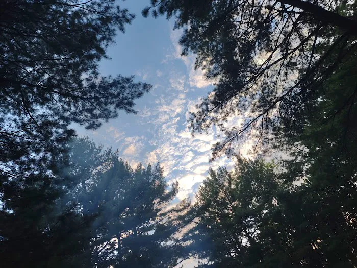 Boyers Pond Campground 6