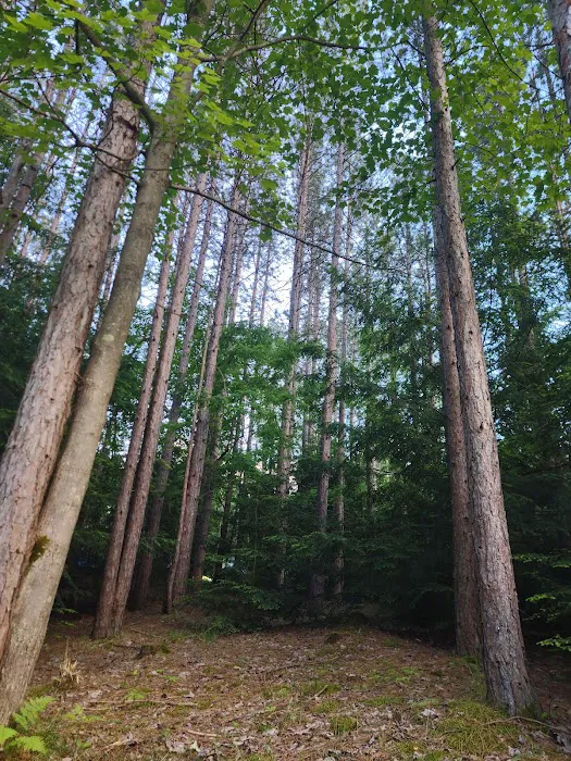 Boyers Pond Campground 8