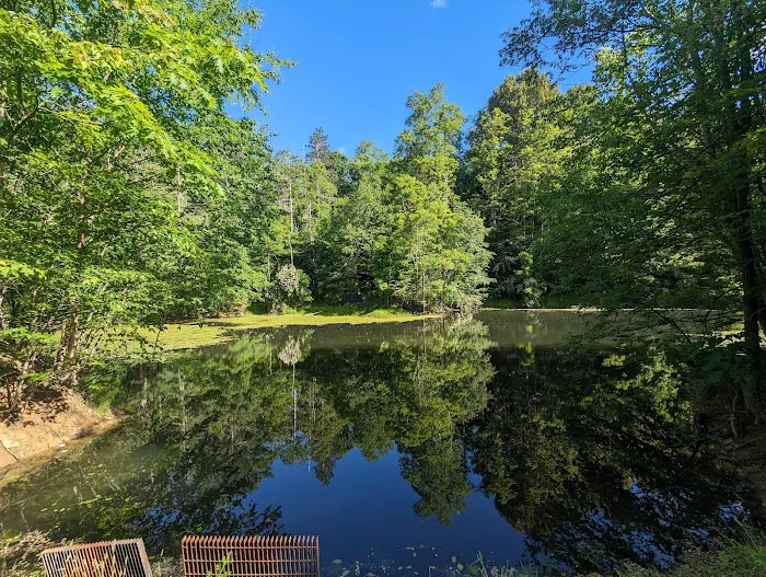 Boyers Pond Campground 5
