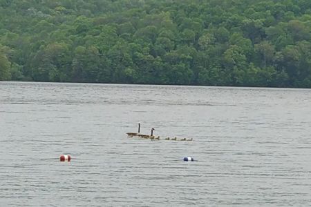 Quemahoning Family Recreation Area