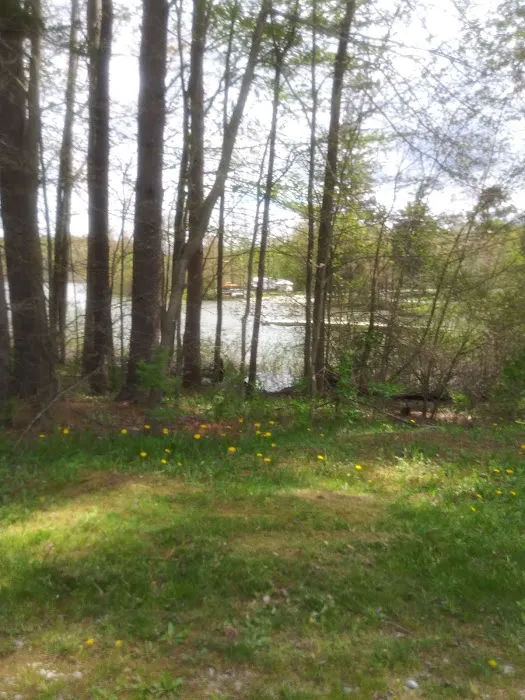 Quemahoning Family Recreation Area 3