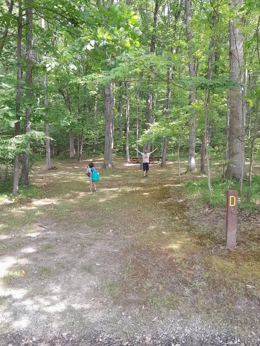Shawnee Organized Campground 1
