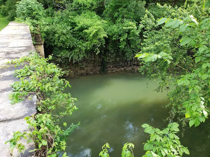 15 Mile Creek Campground 8