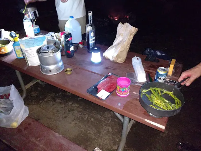 Cacapon Junction Campsite 8