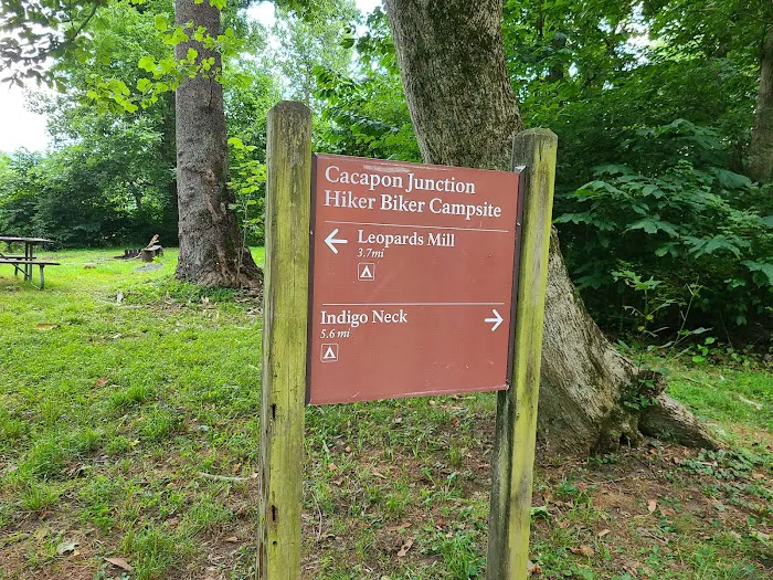 Cacapon Junction Campsite 6
