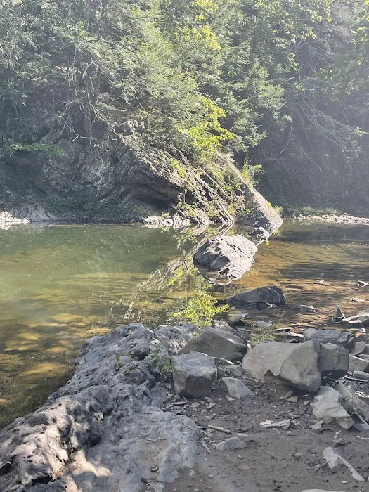 Green Ridge campsite 84 1
